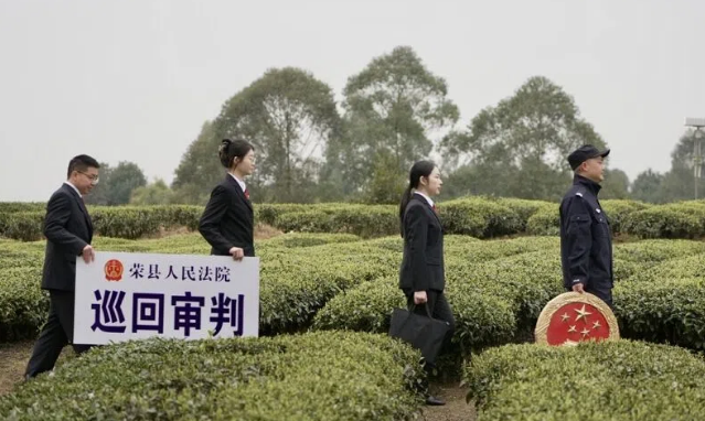 微信图片_2025-03-18_153941_322.png